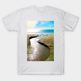 Dana Point Rivulet T-Shirt